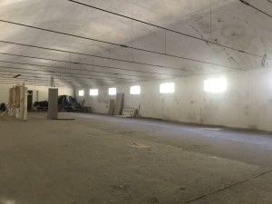 img_7323
